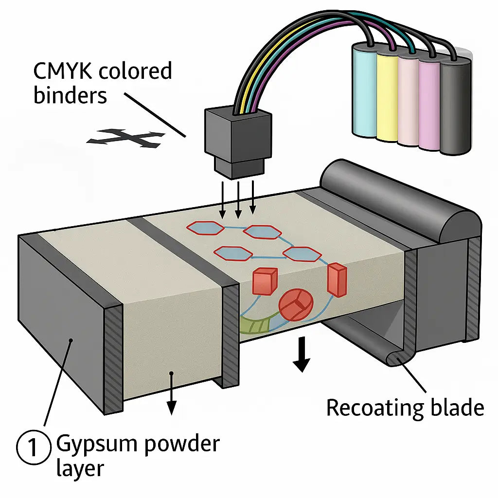 A labeled technical diagram illustrating the ColorJet Printing (CJP) process, showing powder layers, CMY printhead, and selective color binder application in a cross-sectional view.